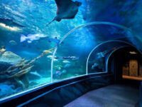 AquaDom Aquarium Berlin