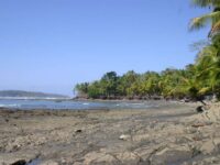 Beautiful Beaches in Panama Punta Burica