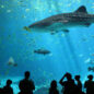 Biggest Aquarium in US