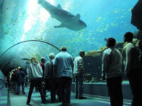 Biggest Aquarium in the world