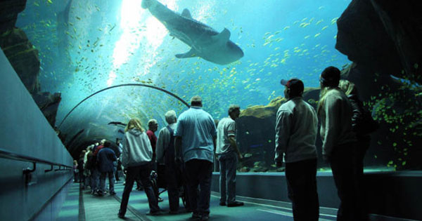 Biggest Aquarium in the world