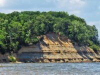 Calvert Cliffs State Park Maryland