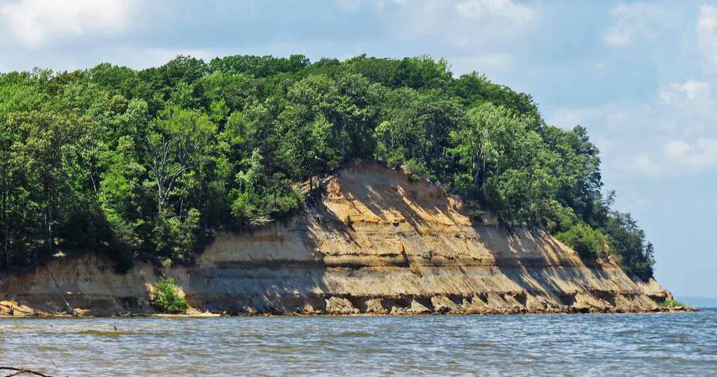 Calvert Cliffs State Park Maryland