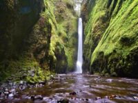 Oneonta Gorge Best Waterfall in the US