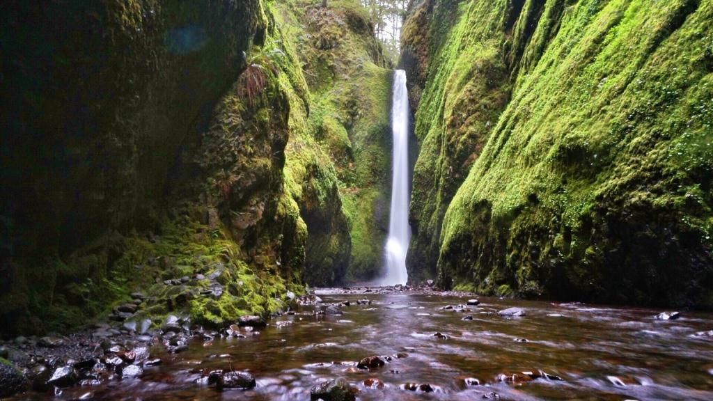 Oneonta Gorge Best Waterfall in the US