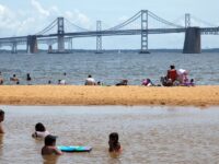 Sandy Point State Park Best Beaches in Maryland
