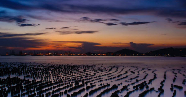 The oyster farm in Pak Nai