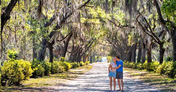 Honeymoon Destinations In Savannah