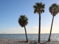 Ben T. Davis Beach – Best Beaches in Tampa