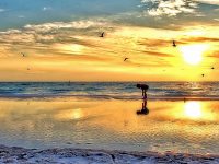 Sunset Beach