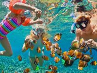 Best Places for snorkeling in Florida