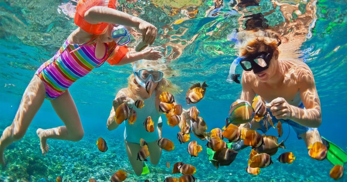 Best Places for snorkeling in Florida