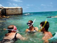 Egmont Key State Park Snorkeling