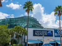 Florida Aquarium in Tampa