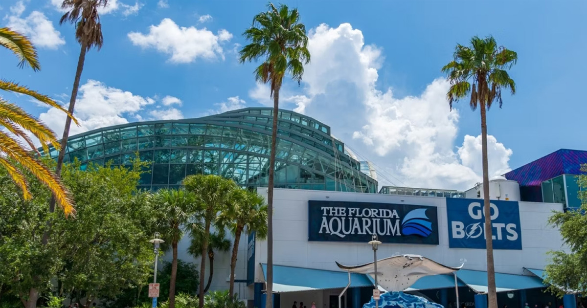 Florida Aquarium in <yoastmark class=
