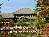 Nara – Beautiful destination in Japan