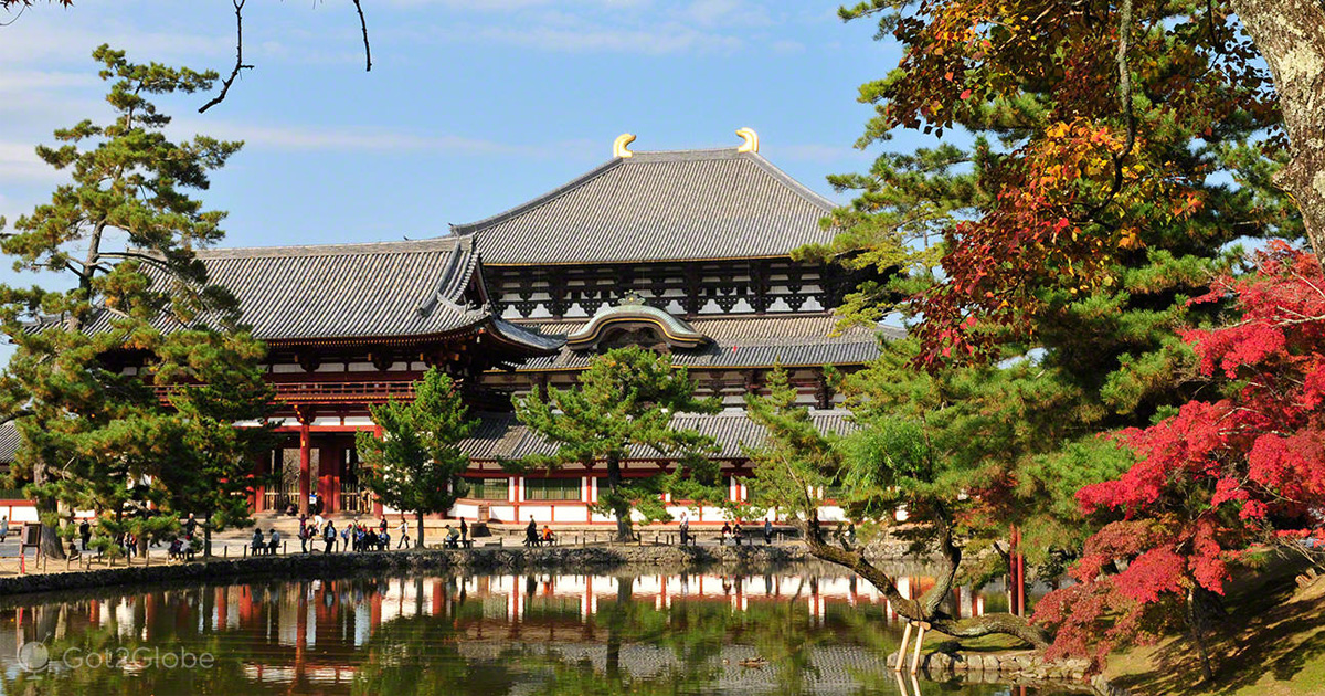 Nara - Beautiful destination in Japan