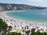 Popular activities in Shirahama Beach