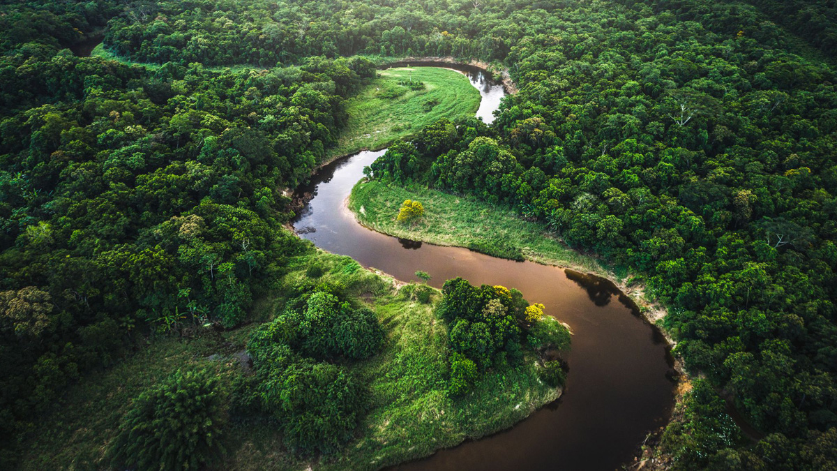 Amazon Rainforest