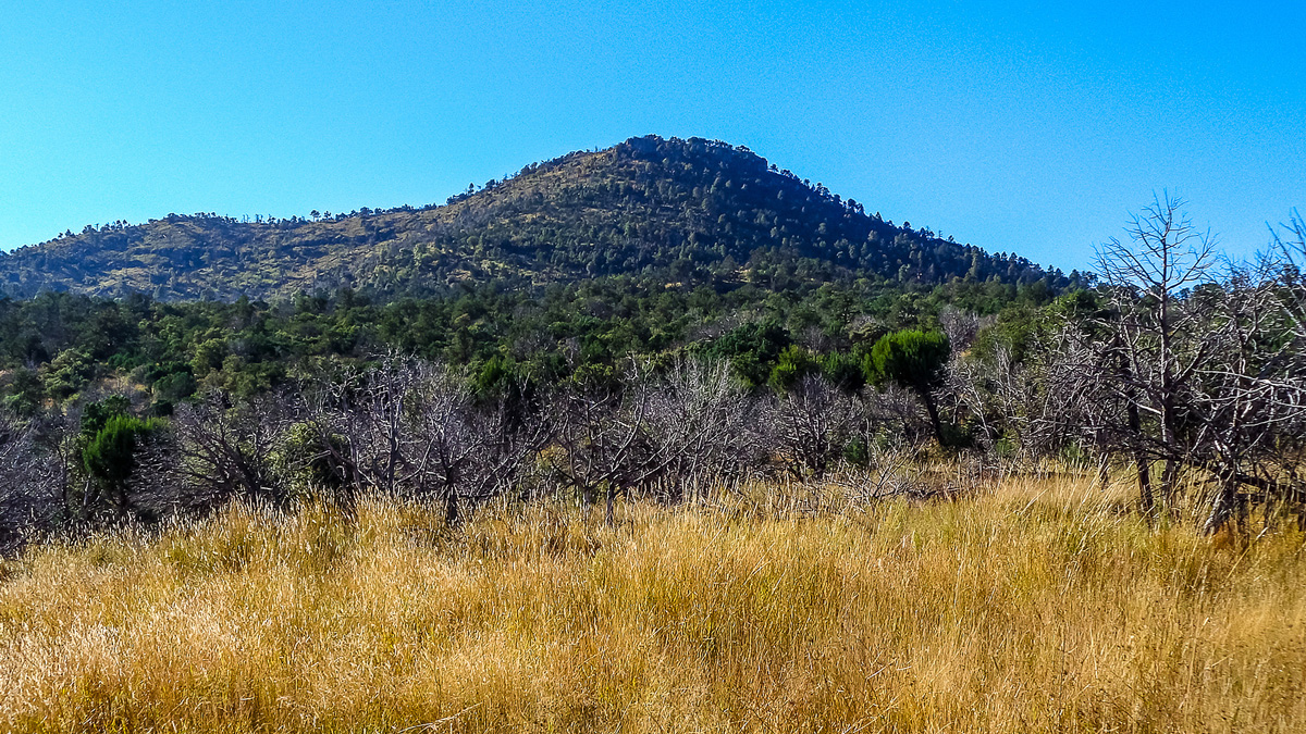 Pine Peak - Mountains in Texas