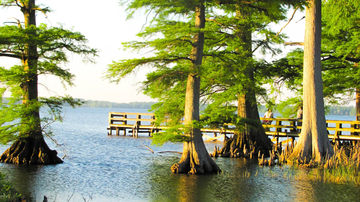Reelfoot Lake - Natural Lake in Tennessee